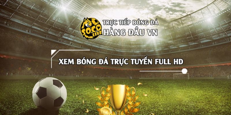 Nên chọn nhà cái socolive